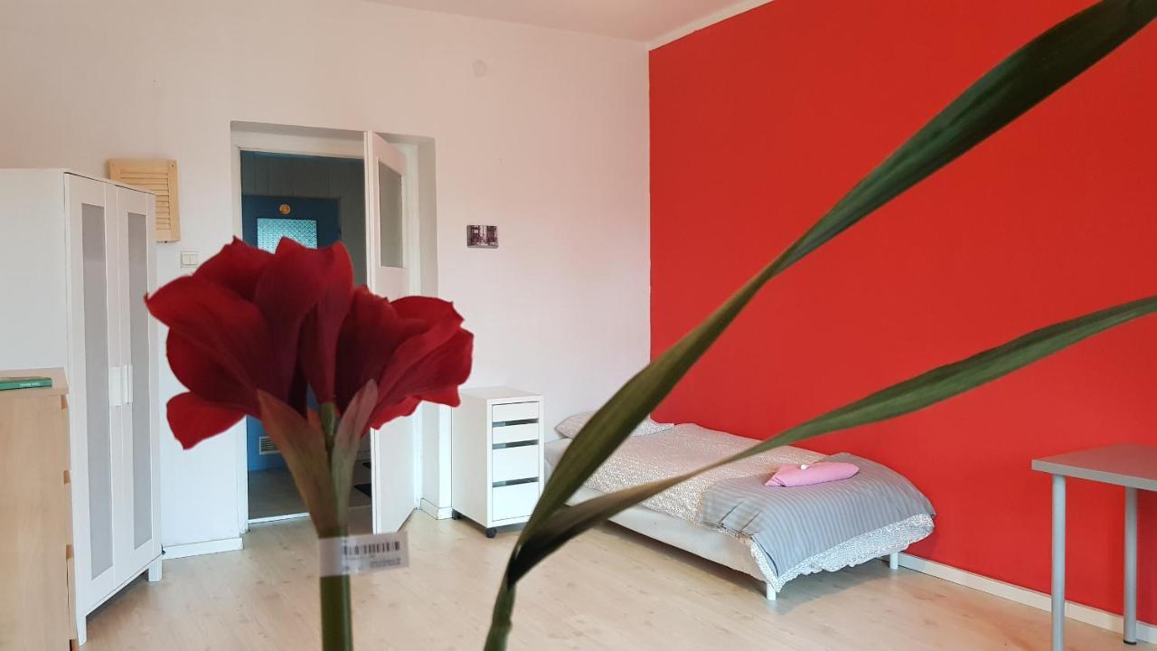 Cozy & Fun Rooms Wojewodzka, Chopina, Damrota Катовице Екстериор снимка